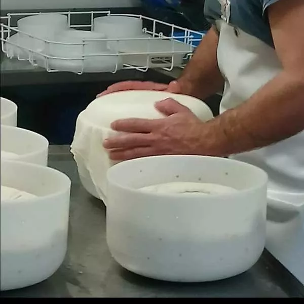Ferme produisant du fromage de brebis avec un affinage de minimum 5 mois, Vallée d'Ossau, Ferme du Saùcet