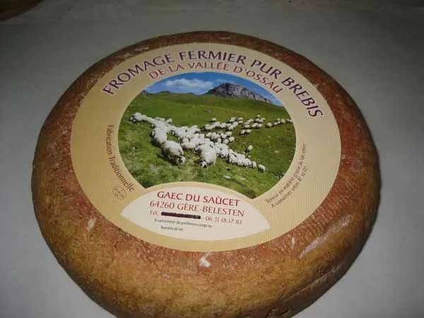 Fromagerie pour acheter un petit ossalois de brebis, Vallée d'Ossau, Ferme du Saùcet