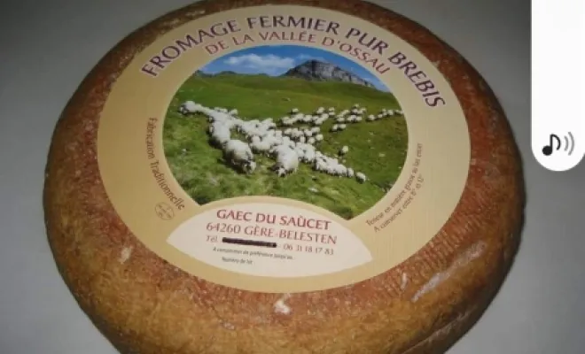 Tomme pur brebis