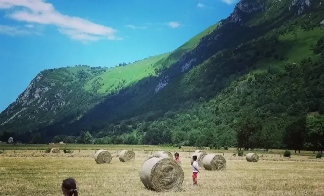 Les enfants devant le foin