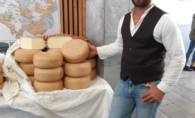 Acheter de la tomme de brebis artisanale, Vallée d'Ossau, Ferme du Saùcet